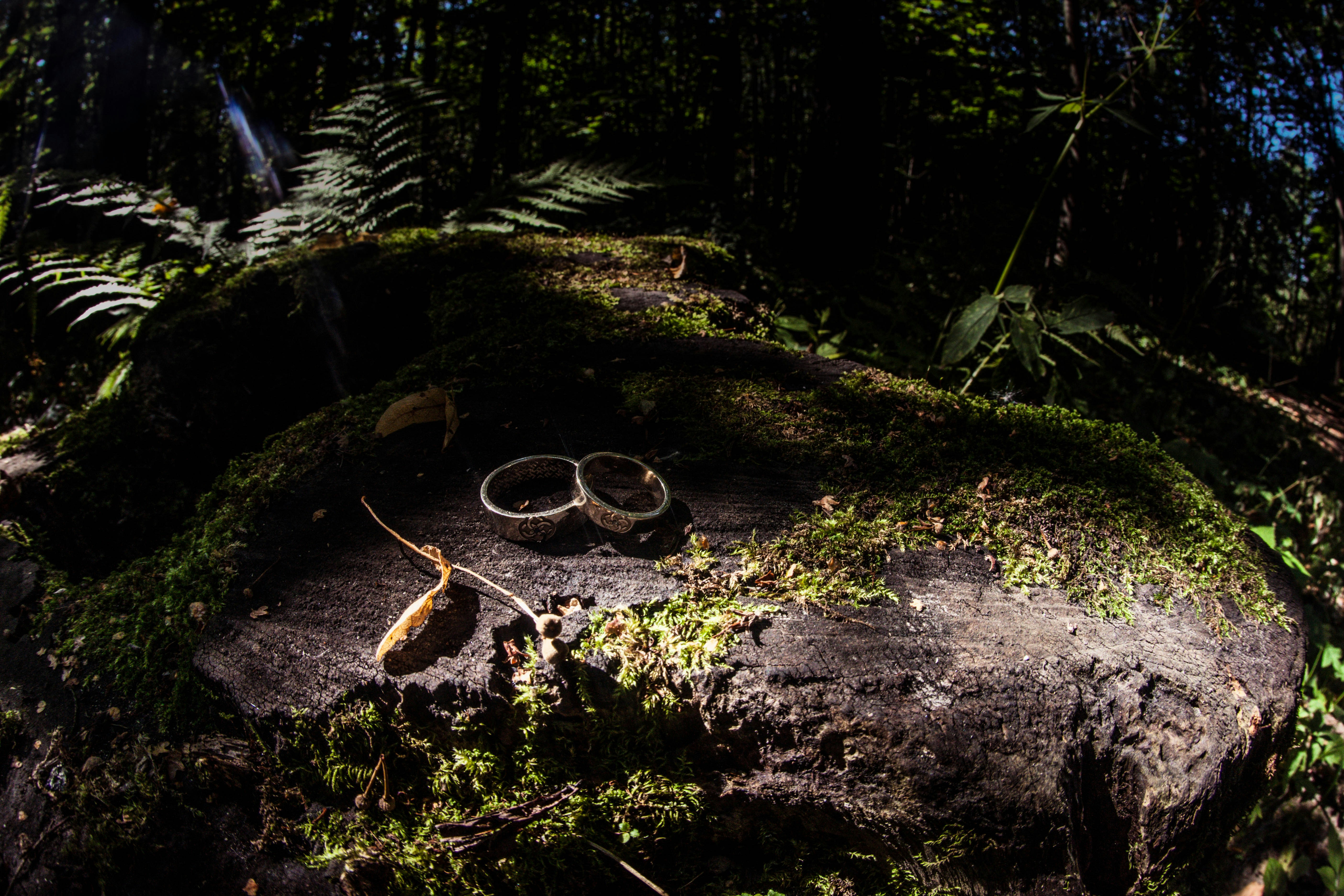 Il Signore degli Anelli