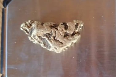 La pepita d'oro a mezzaluna