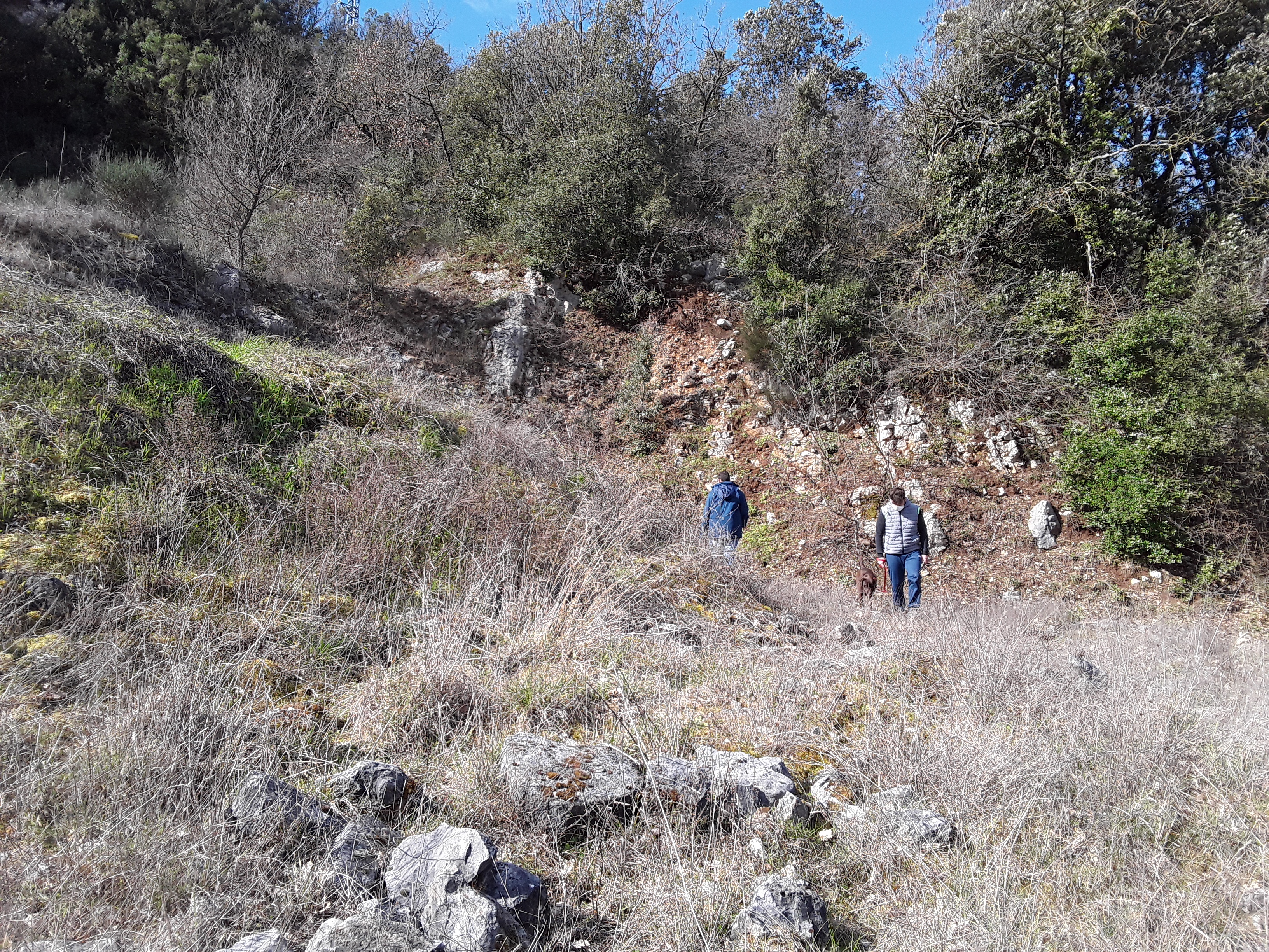 Volontari alla ricerca del meteorite