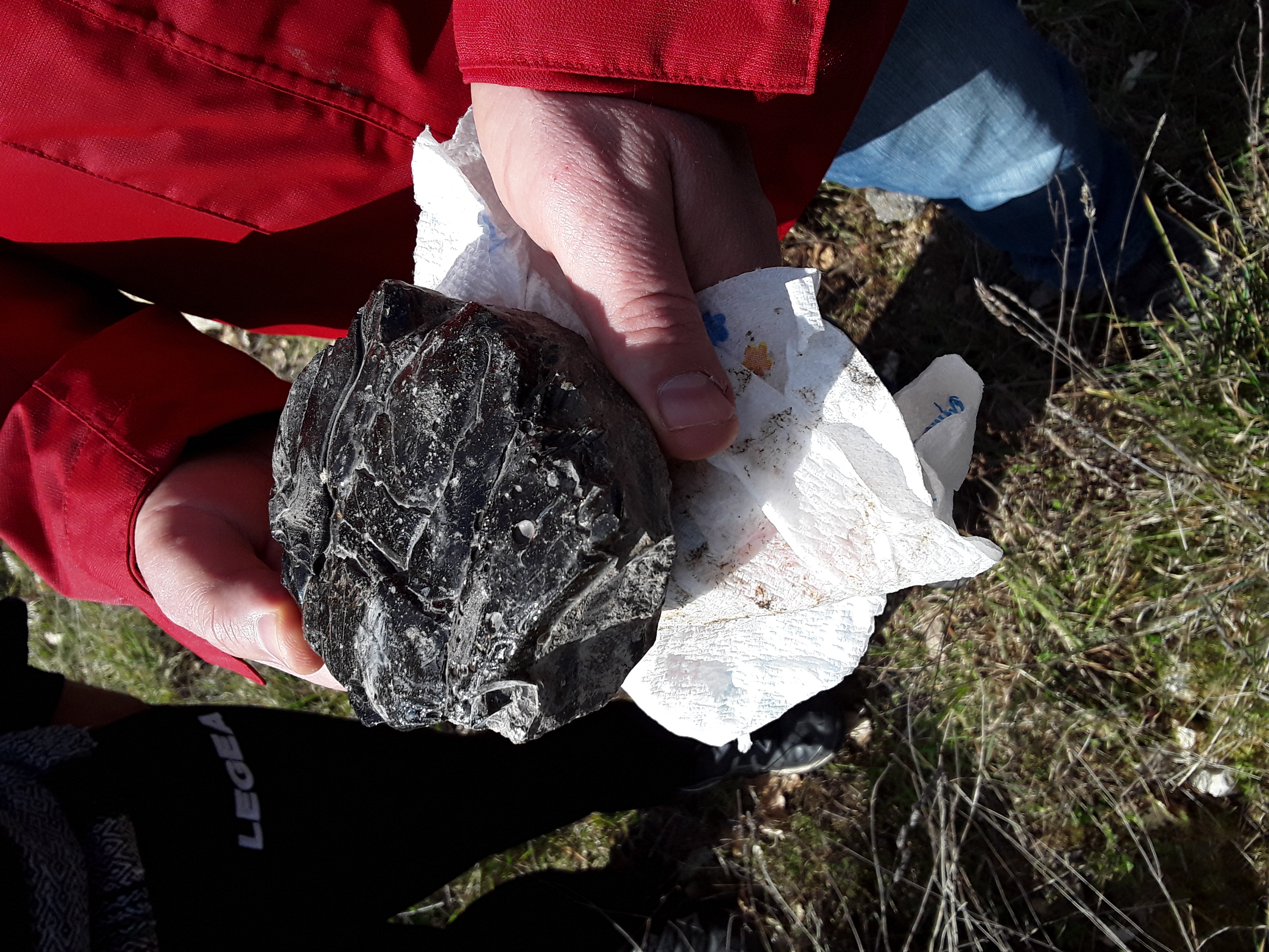 Il frammento di roccia vulcanica consegnato da un cittadino