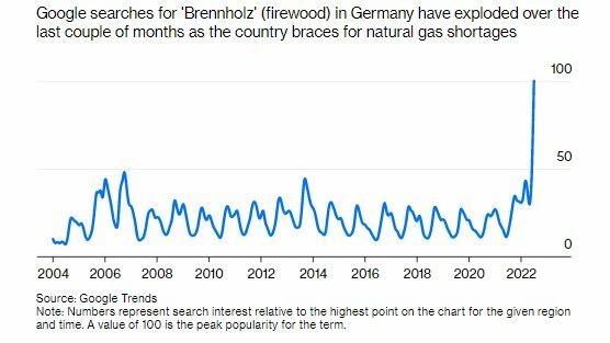Andamento della ricerca del termine «fuoco a legna» su Google in Germania