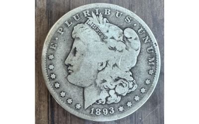 S Morgan Dollar del 1893