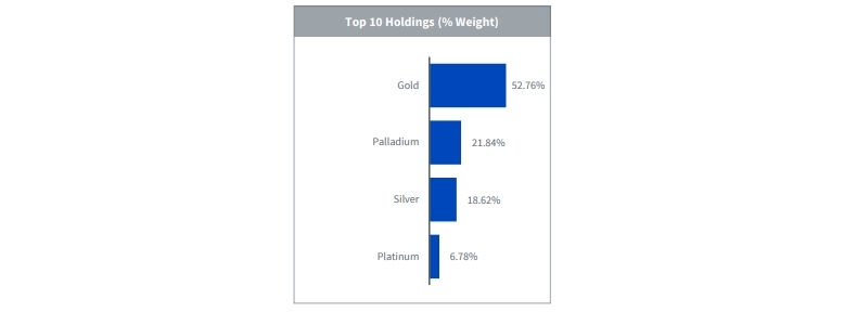 Top 10 holdings
