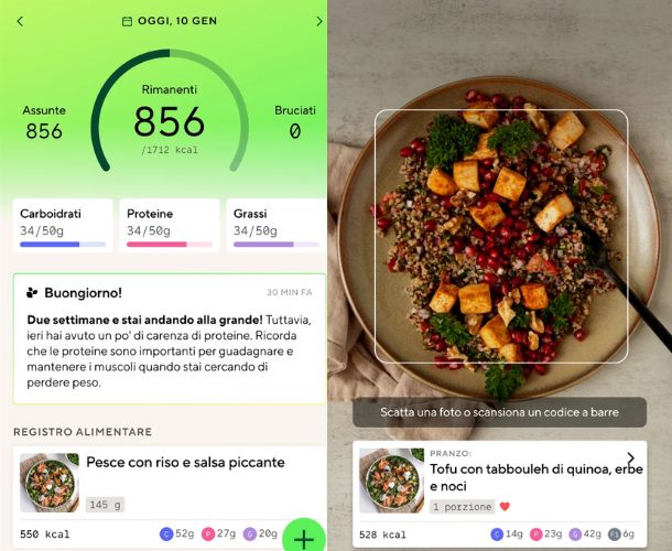 Come funziona Lifesum