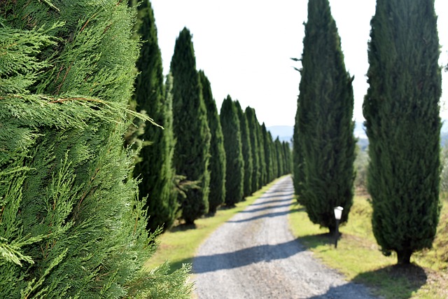 Strada del Chianti