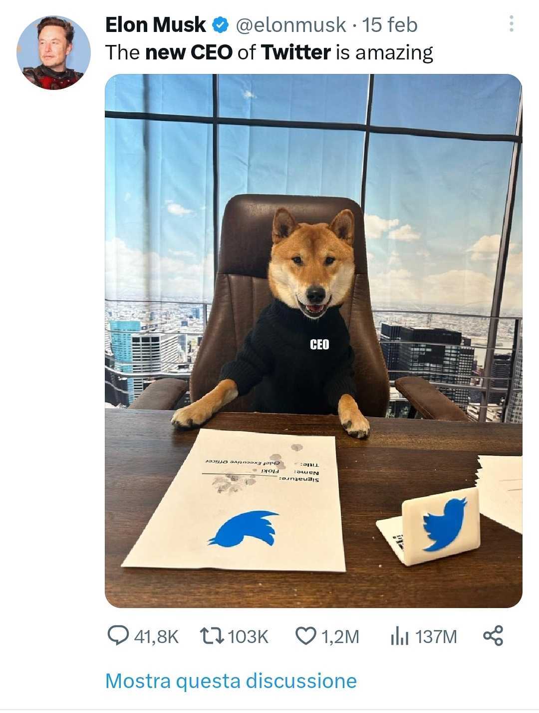 «The new CEO of Twitter is amazing»