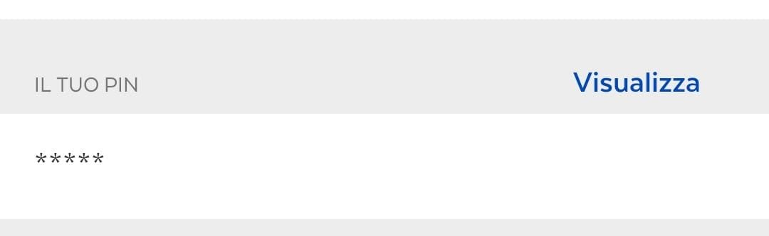 Il tuo Pin