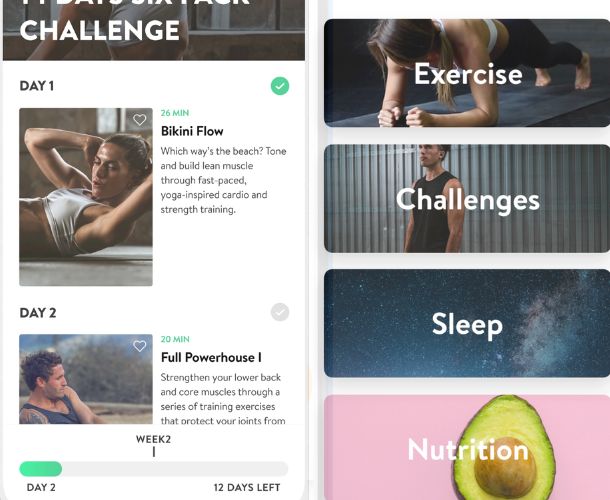 Come funziona Asana Rebel