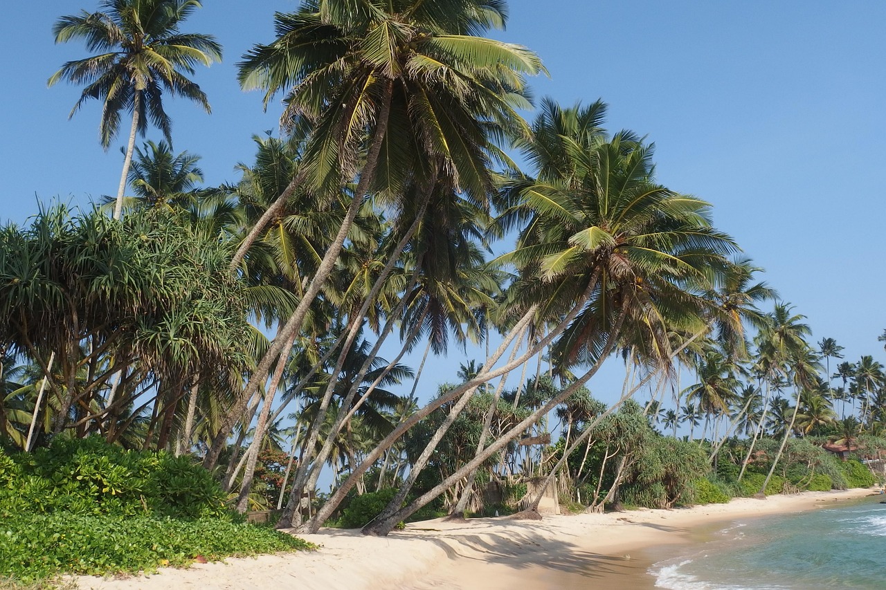 Una spiaggia dello Sri Lanka