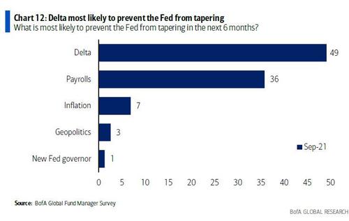 Criticità macro che potrebbero bloccare un taper della Fed