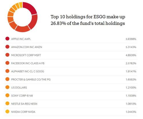 Principali 10 detentori di quote dell'ETF di riferimento del settore ESG