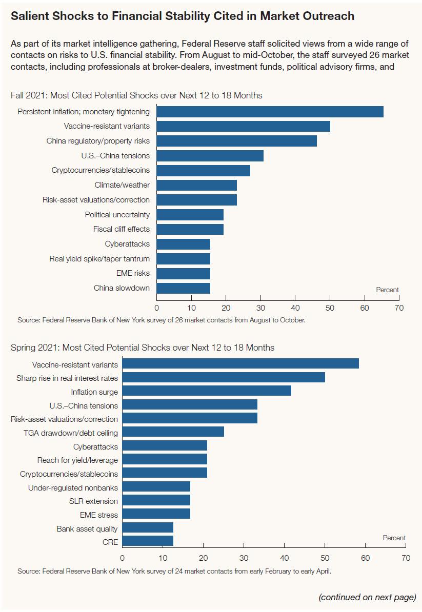 Comparazione delle criticità di mercato contenute nei Financial Stability Report primavera/autunno 2021