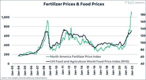Correlazione tra prezzo dell'urea agricola e indice Fao dei beni alimentari