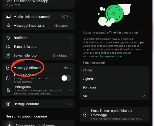 Messaggi effimeri su WhatsApp