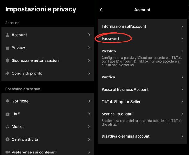 Password di TikTok