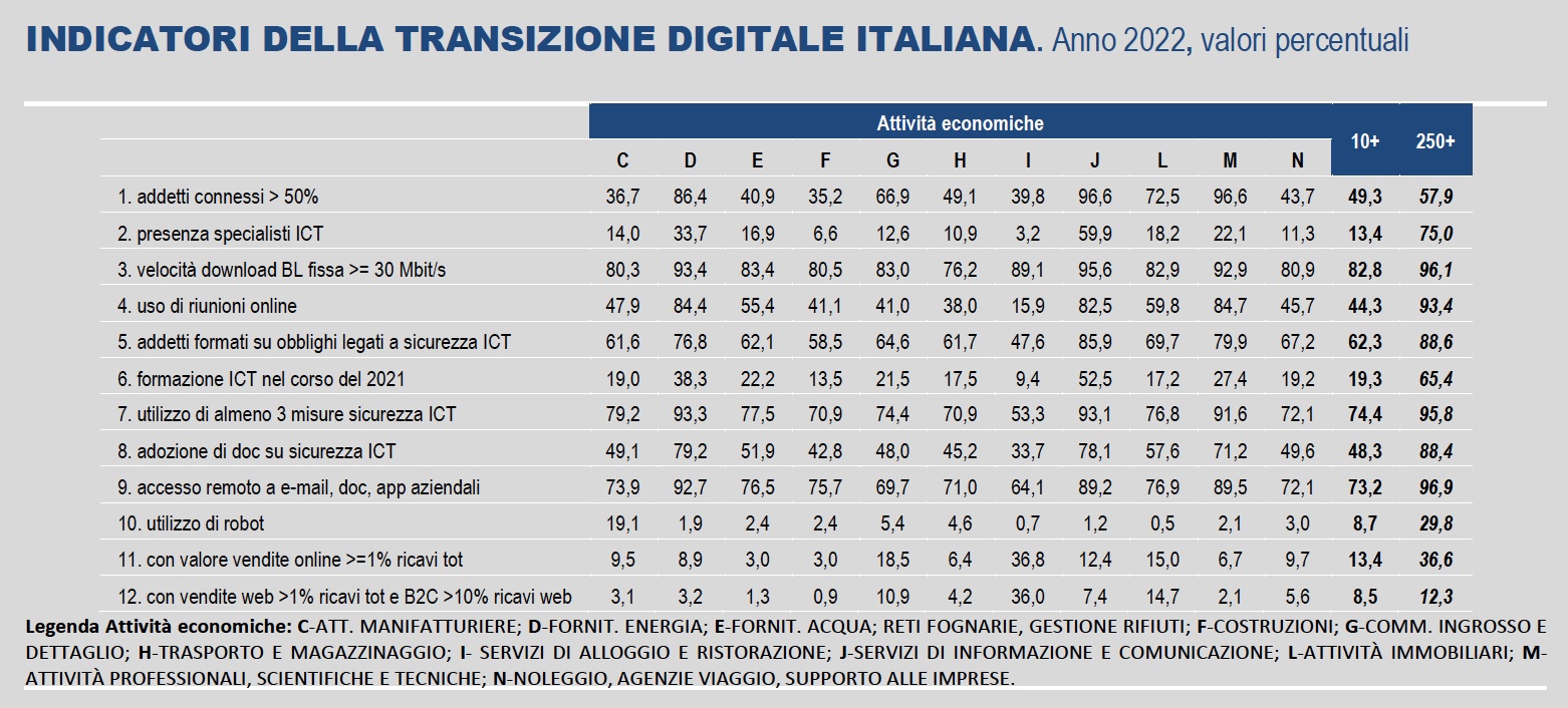 Istat - Transizione digitale italiana 2022