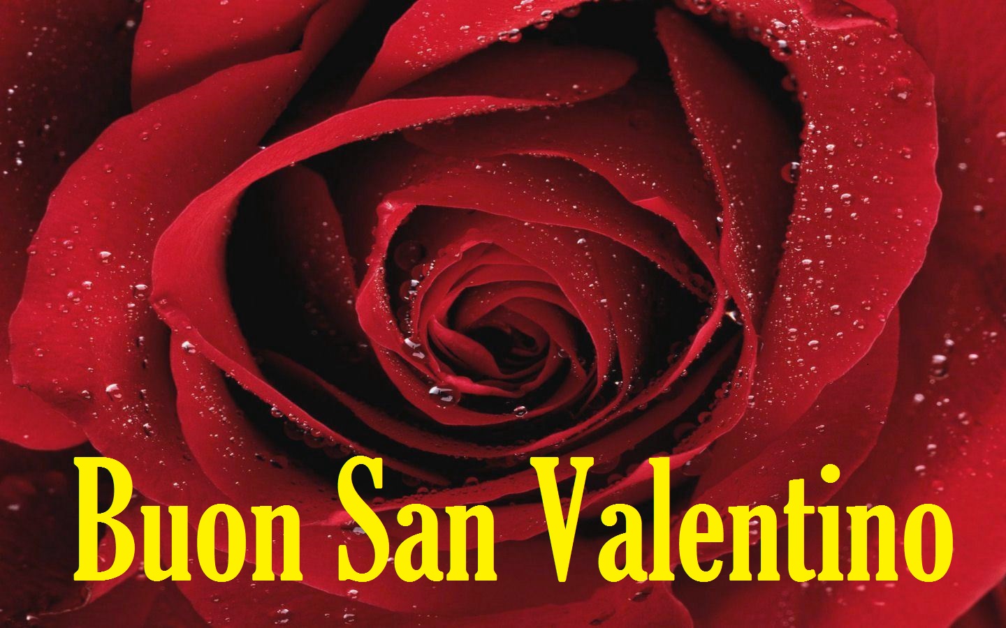 Quando è Il Giorno Di San Valentino Buon San Valentino 2022: frasi e immagini da inviare su WhatsApp