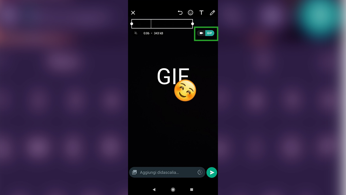 Fare GIF su WhatsApp: personalizzare l'immagine