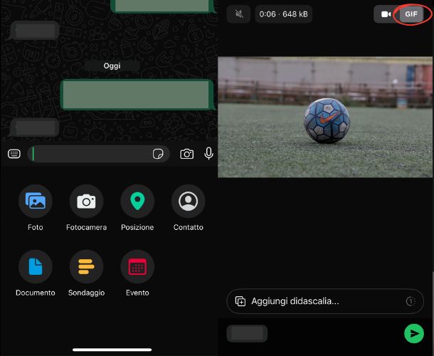 GIF di WhatsApp