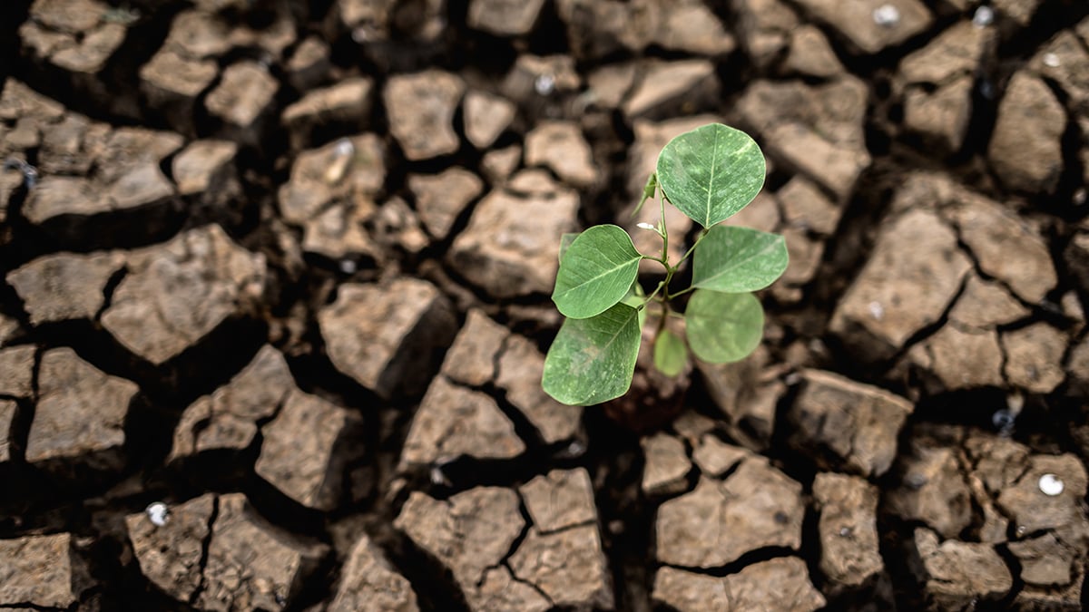 L'acqua il nuovo megatrend. Le azioni preferite dagli analisti e l'ETF da conoscere