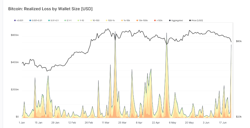 Perdita realizzata in Bitcoin per dimensione del portafoglio