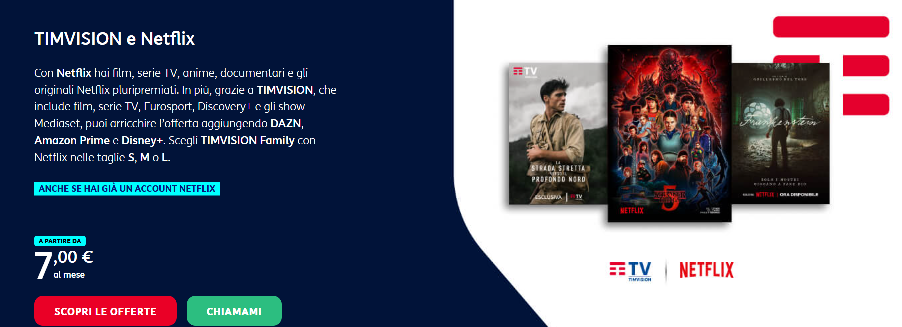 TIMVISION con Netflix