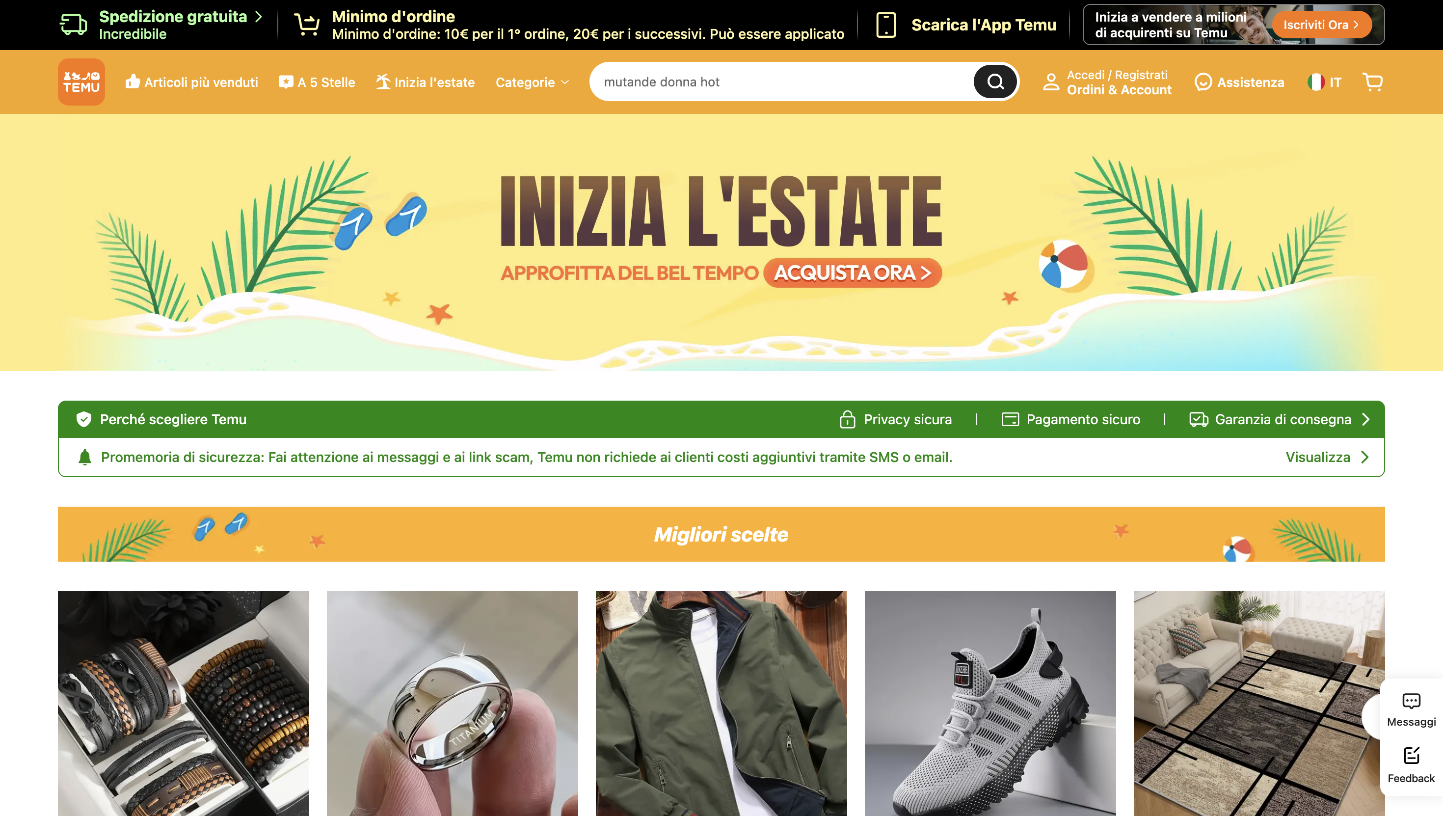 Cos'è Temu