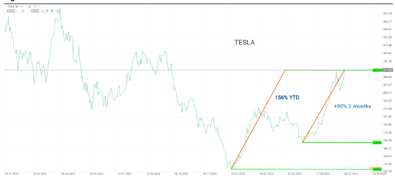 Andamento delle azioni Tesla dal 2022 al 2023