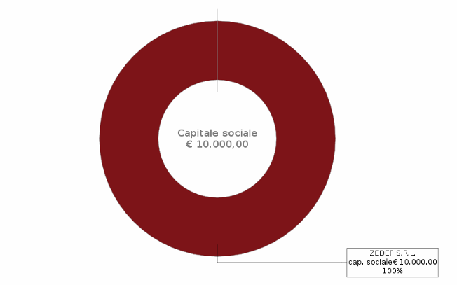 Capitale sociale Doom Entertainment srl