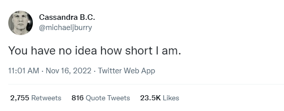 Tweet (poi cancellato) di Michael Burry relativo alle sue posizioni short Tweet (poi cancellato) di Michael Burry relativo alle sue posizioni short
