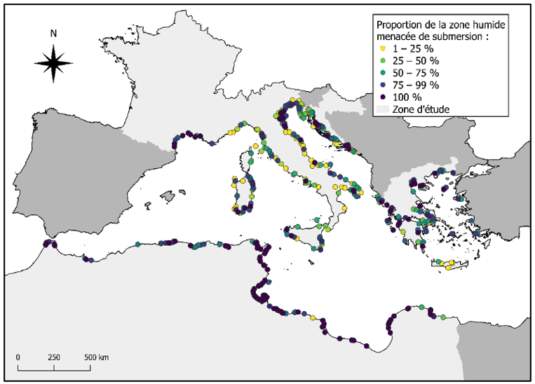 Mappa delle zone umide costiere importanti per gli uccelli acquatici minacciate di sommersione secondo lo scenario più pessimistico (+ 161 cm)