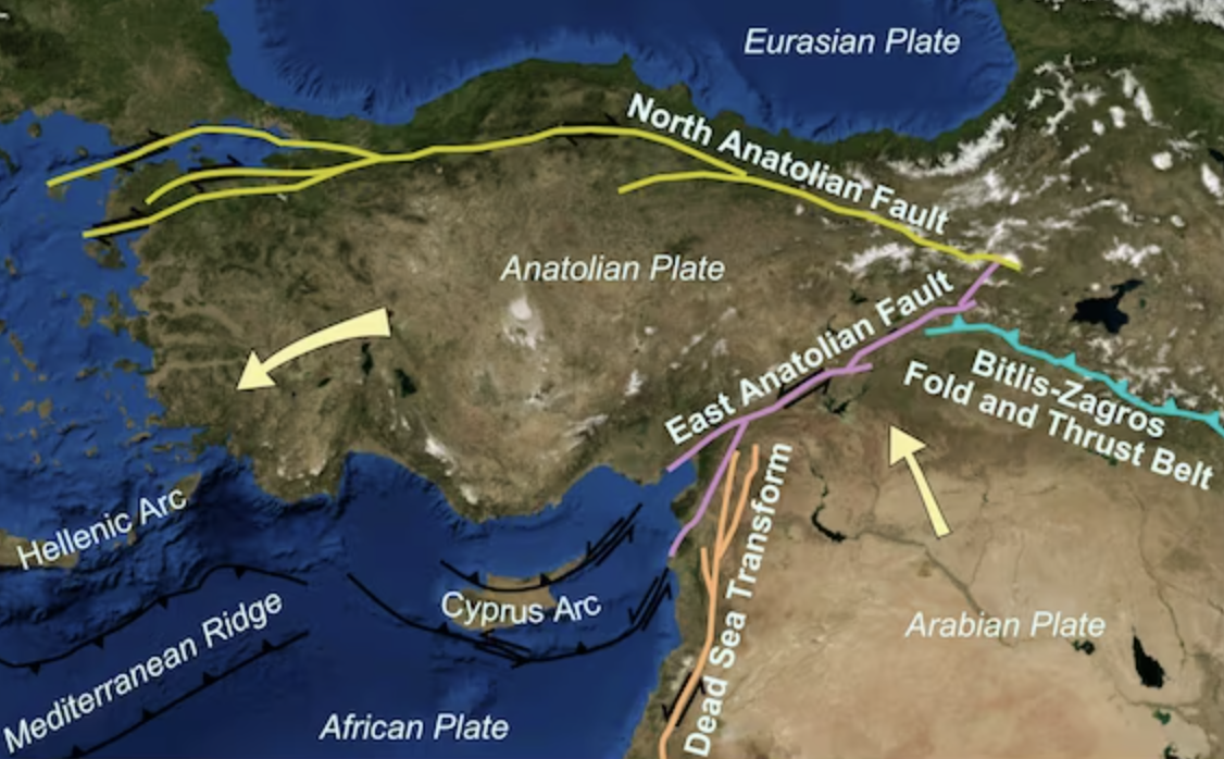 Fig.1