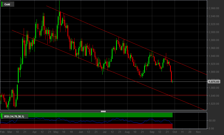 GOLD, 1D