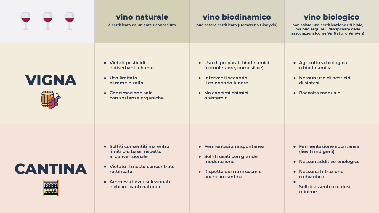 Infografica Vino