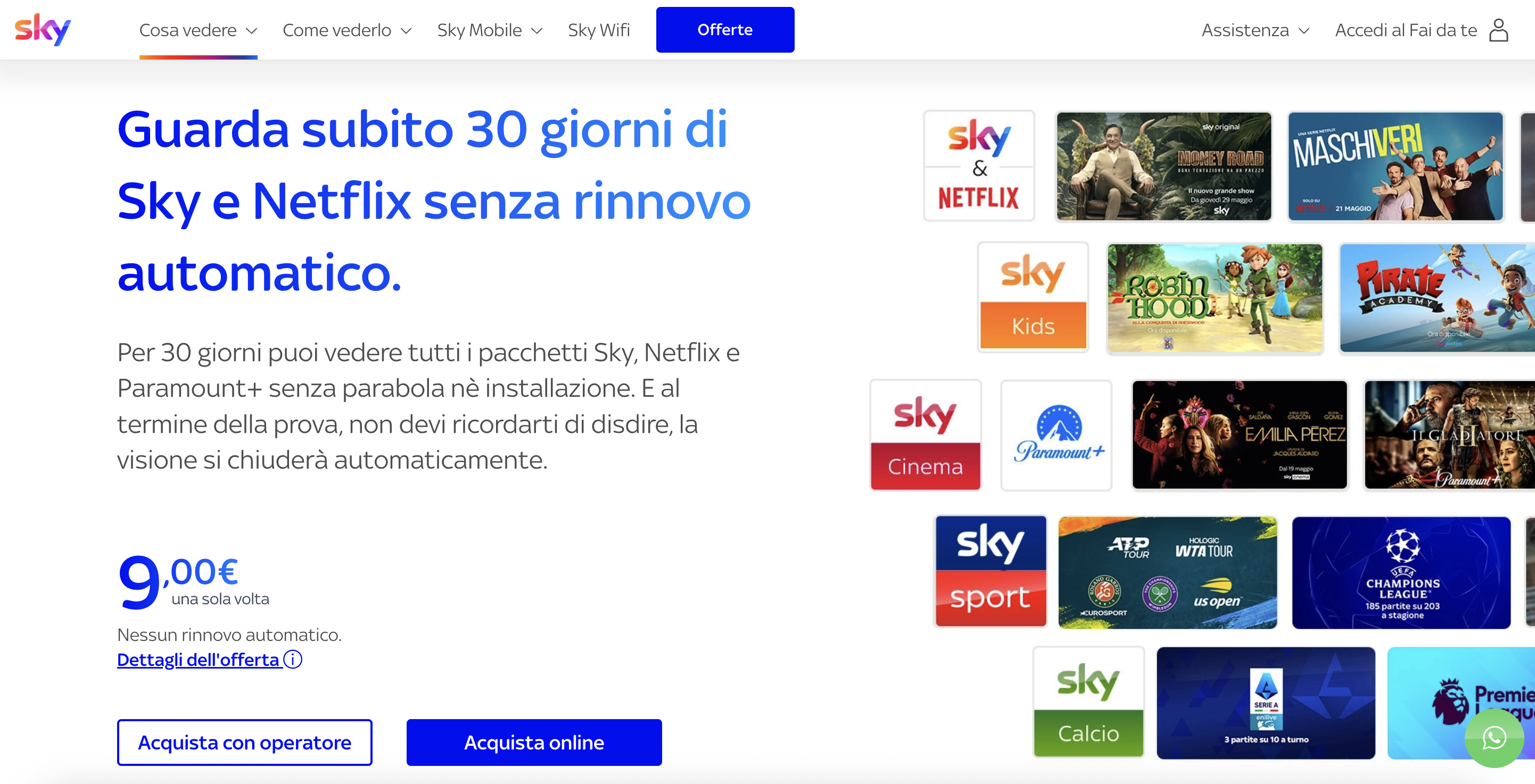 Sky e Netflix