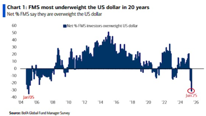 Esposizione dei fondi al dollaro