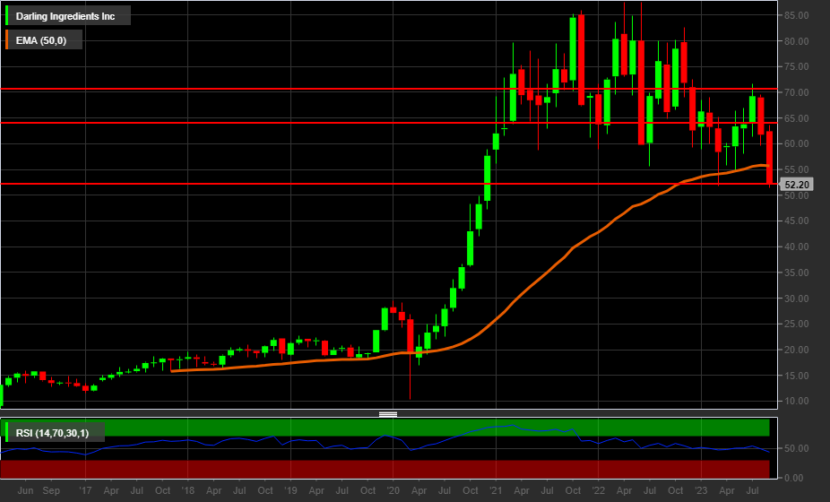 Grafico mensile azioni Darling Ingredients (NYSE)