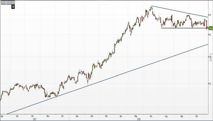 moncler grafico