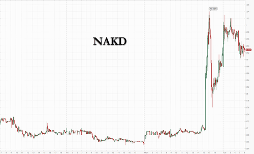 Andamento del titolo azionario di Naked Brand Group