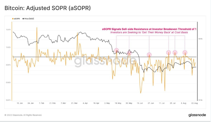 Grafico SOPR (Spent Output Profit Ratio)
