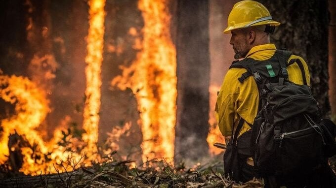 Incendio Los Angeles, i vip assumono pompieri privati. Ecco quanto spendono