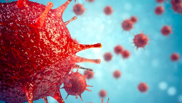 Yaravirus: cos'è il nuovo virus scoperto in Brasile