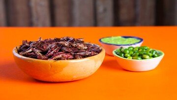 È legale mangiare insetti in Italia?