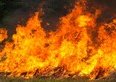 Incendio doloso o colposo, cosa rischia chi lo provoca?