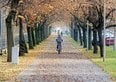 Giornata mondiale senza auto 2026. Quanto si risparmia rinunciando alla macchina?