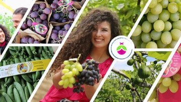 Chi è Francesca Lonigro di Lonigro Fruit, e quanto guadagna?