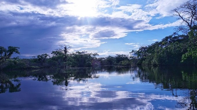 4 grandi banche accusate dalle ONG di finanziare la deforestazione in Amazzonia 