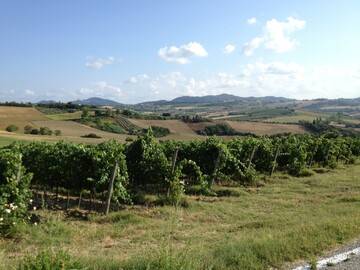 San Patrignano, dove si trova la comunità e come si entra