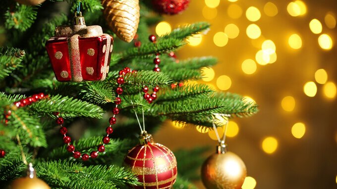 Albero di Natale in auto, a cosa fare attenzione per evitare multe 