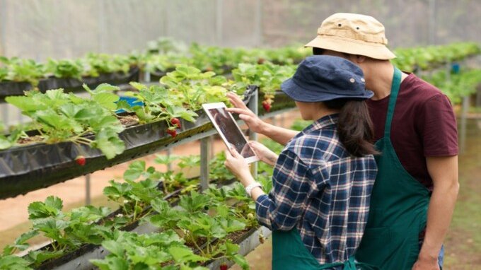Epap agronomi, forestali, chimici e geologi: iscrizione, contributi e contatti 